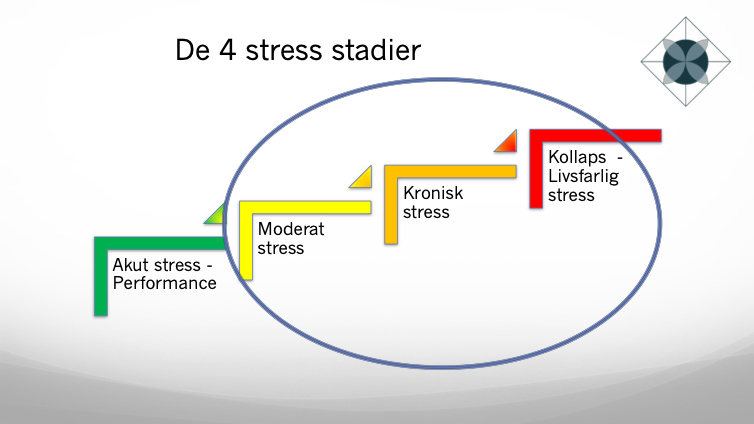 De 4 stressstadier – Akut stress, moderat stress, kronisk stress og livsfarlig stress.